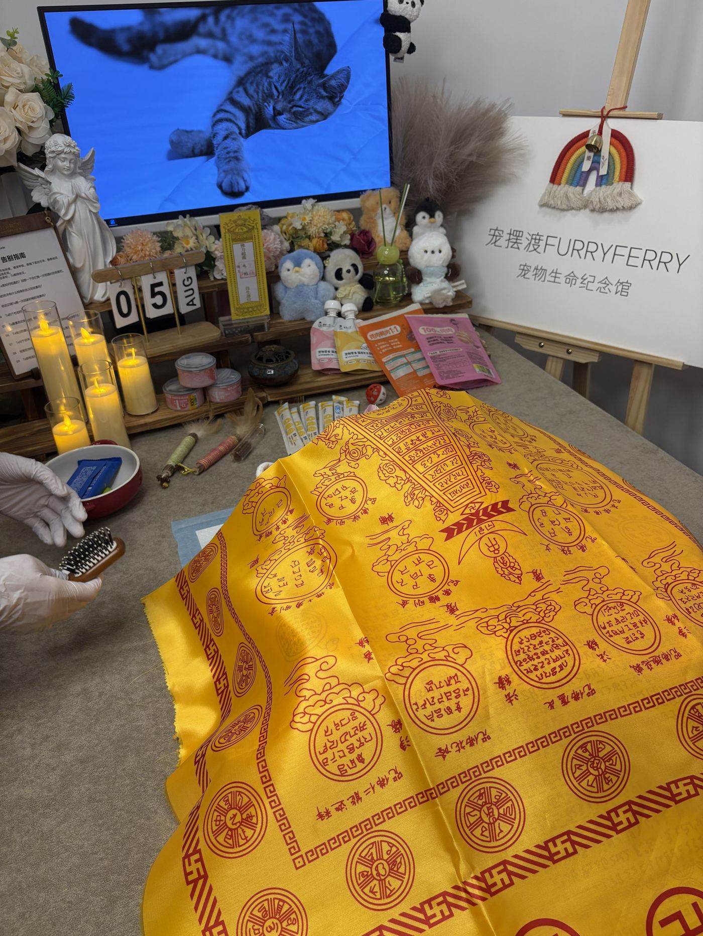 沈阳苏家屯区接回中心