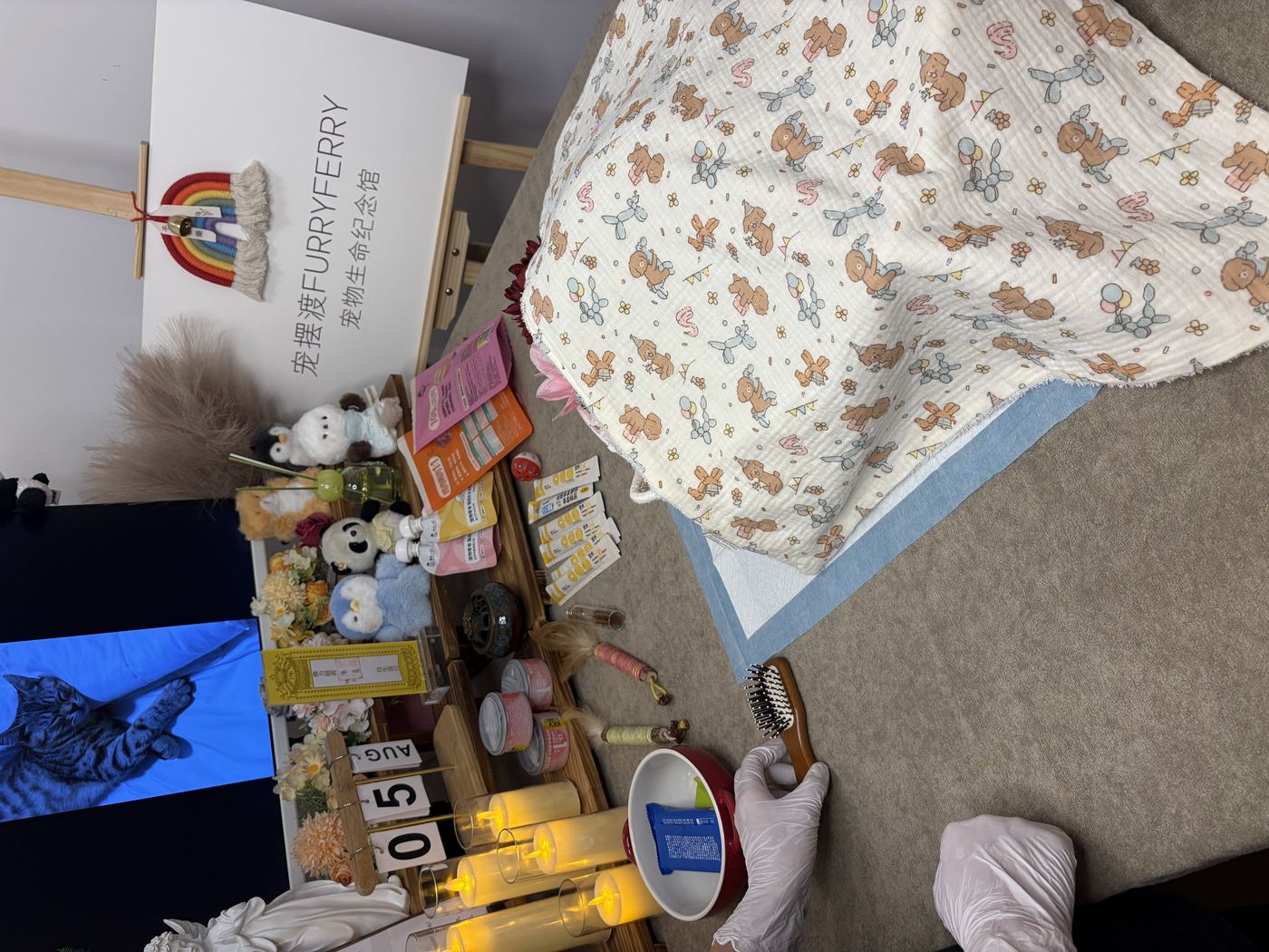 考察机构的第一件事