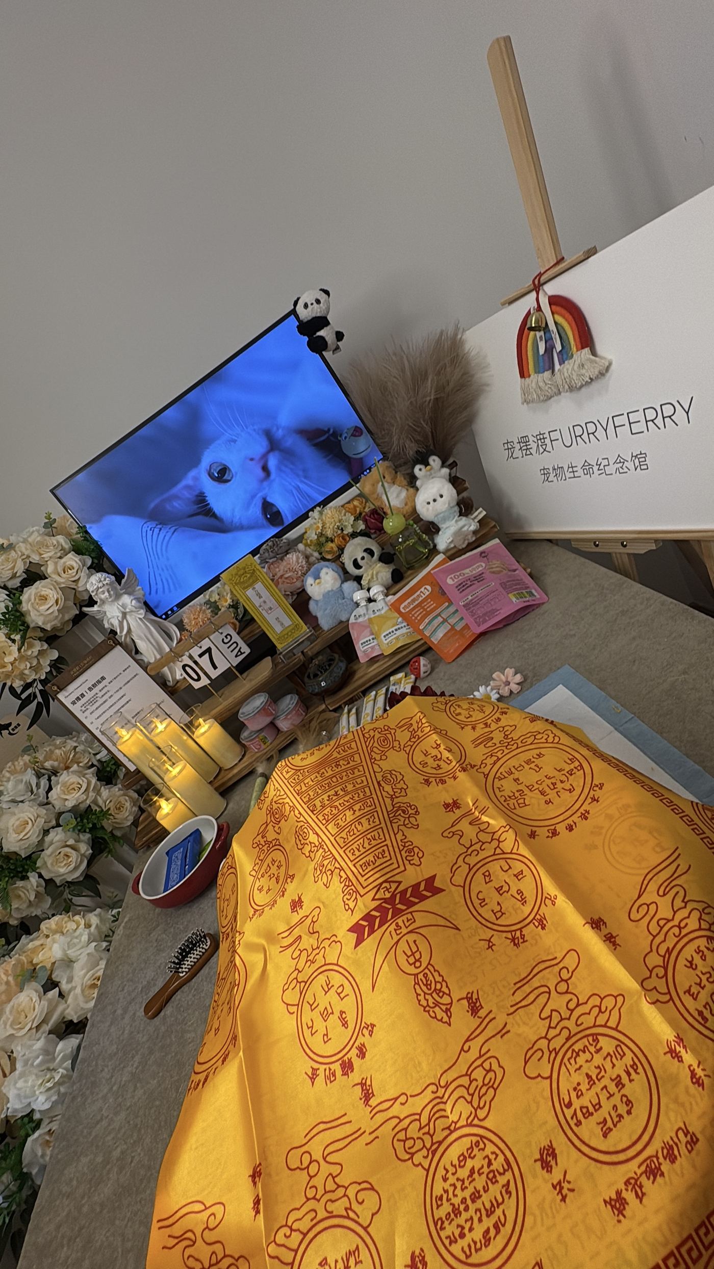 一、办理流程拆解：每一步做什么