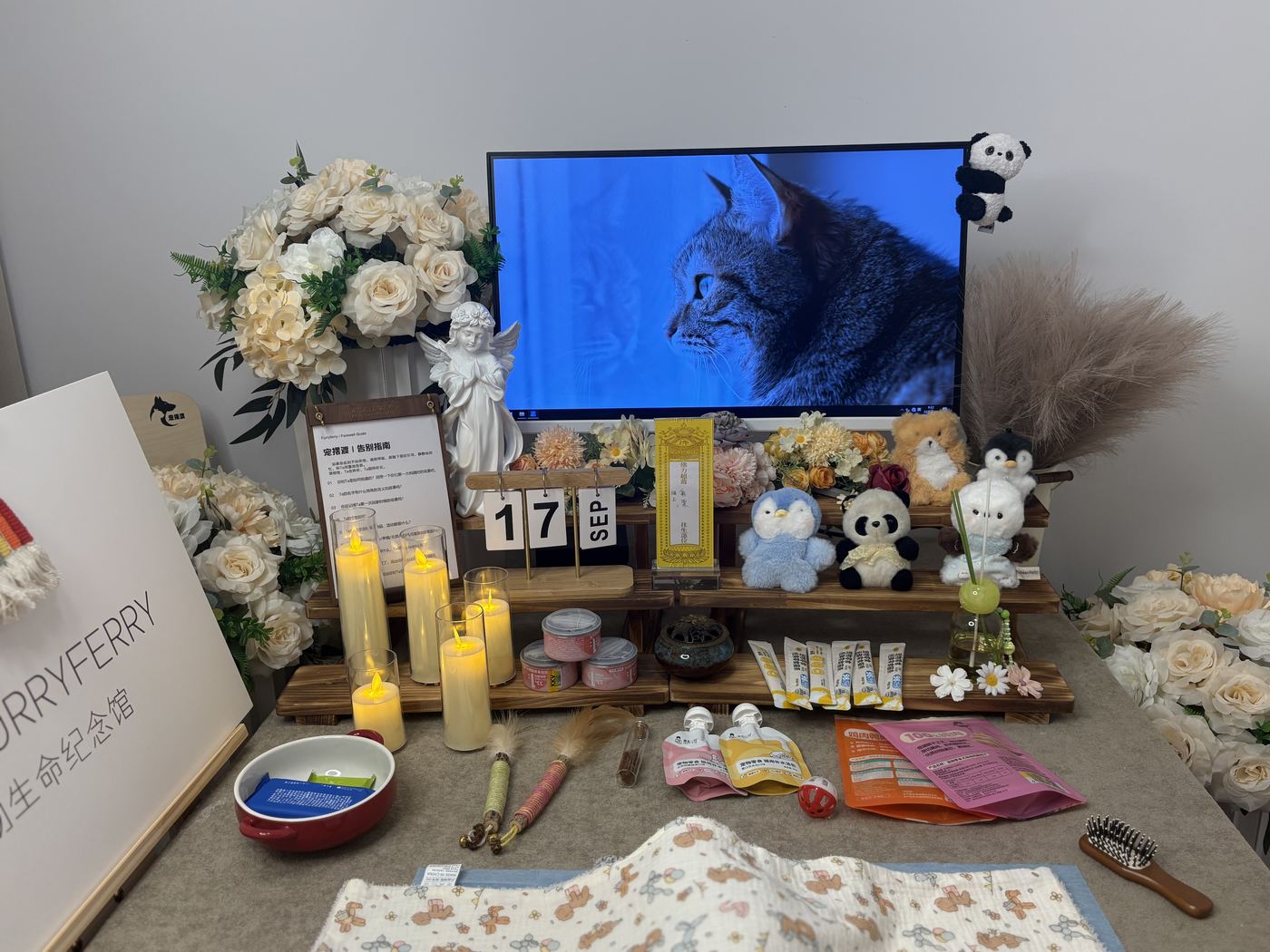 猫的遗体如何处理
