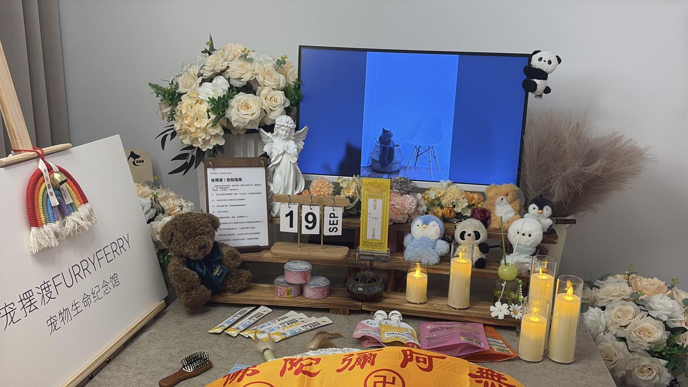 二、费用构成：逐项说明